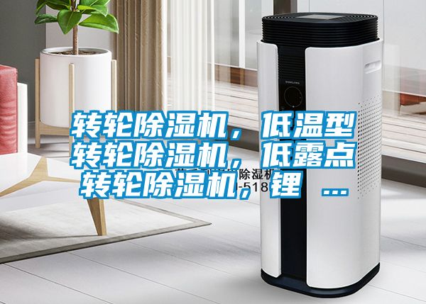 轉(zhuǎn)輪除濕機(jī)，低溫型轉(zhuǎn)輪除濕機(jī)，低露點(diǎn)轉(zhuǎn)輪除濕機(jī)，鋰 ...