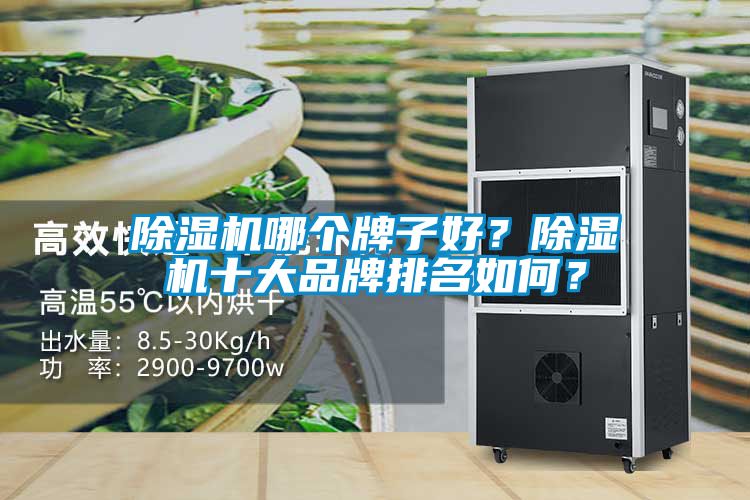 除濕機(jī)哪個(gè)牌子好？除濕機(jī)十大品牌排名如何？