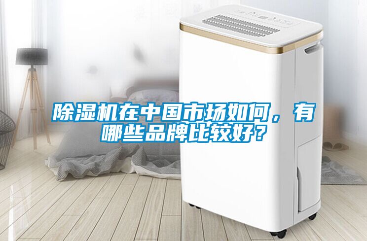 除濕機在中國市場如何，有哪些品牌比較好？