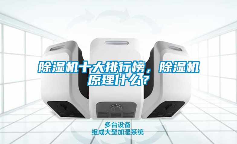 除濕機(jī)十大排行榜，除濕機(jī)原理什么？