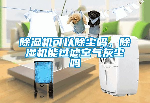 除濕機可以除塵嗎，除濕機能過濾空氣灰塵嗎