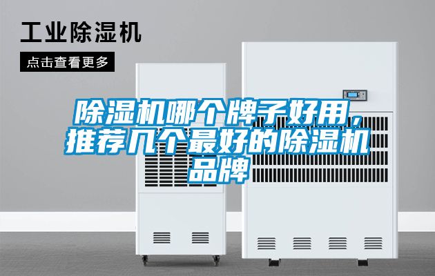 除濕機哪個牌子好用，推薦幾個最好的除濕機品牌