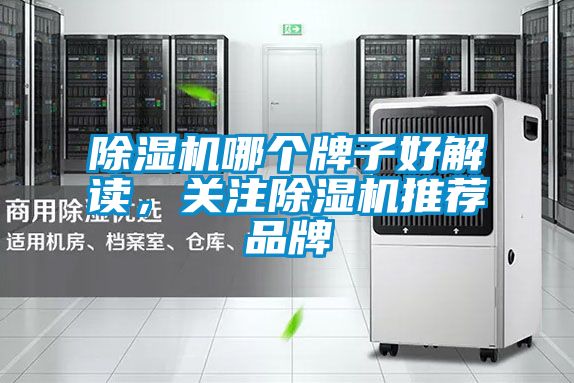 除濕機哪個牌子好解讀，關注除濕機推薦品牌