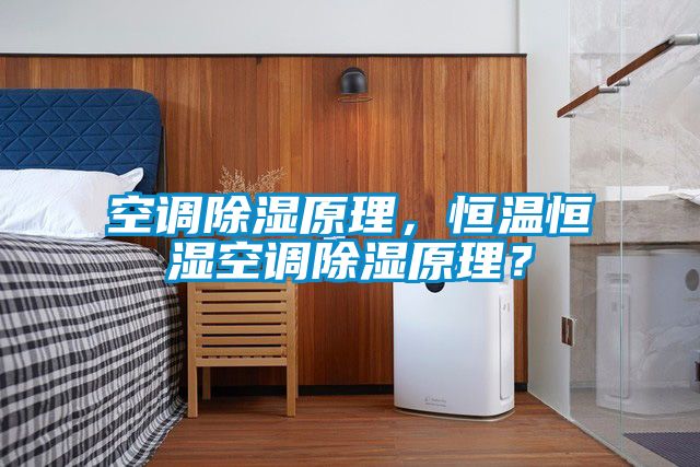 空調除濕原理，恒溫恒濕空調除濕原理？