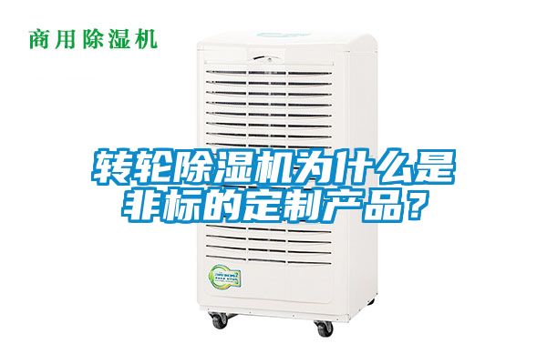轉輪除濕機為什么是非標的定制產品？