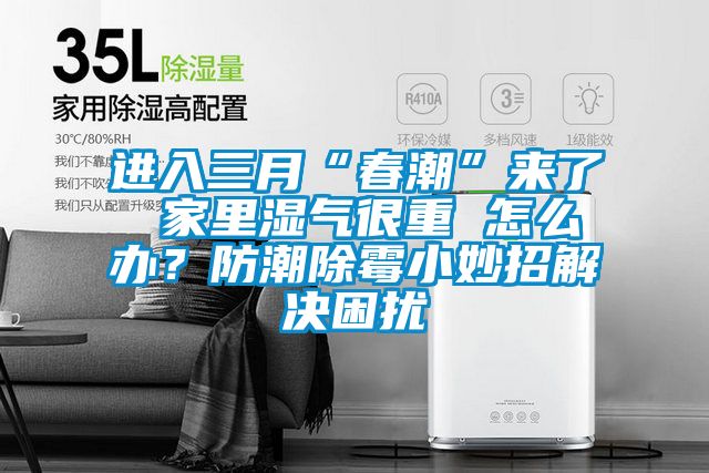 進入三月“春潮”來了 家里濕氣很重 怎么辦？防潮除霉小妙招解決困擾