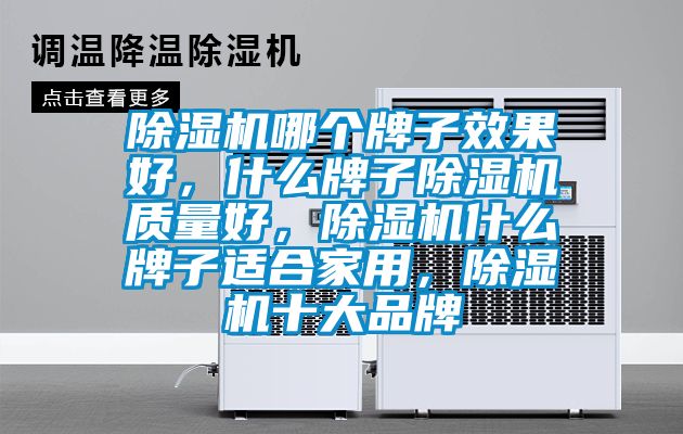 除濕機哪個牌子效果好，什么牌子除濕機質量好，除濕機什么牌子適合家用，除濕機十大品牌