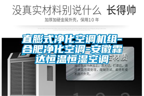 直膨式凈化空調機組-合肥凈化空調-安徽霖達恒溫恒濕空調