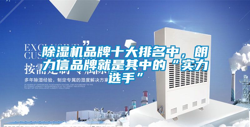 除濕機(jī)品牌十大排名中，朗力信品牌就是其中的“實(shí)力選手”