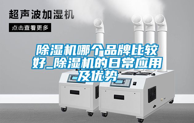 除濕機哪個品牌比較好_除濕機的日常應用及優勢