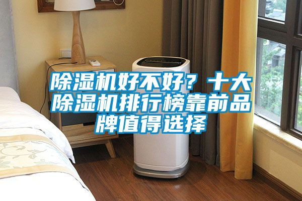 除濕機好不好？十大除濕機排行榜靠前品牌值得選擇