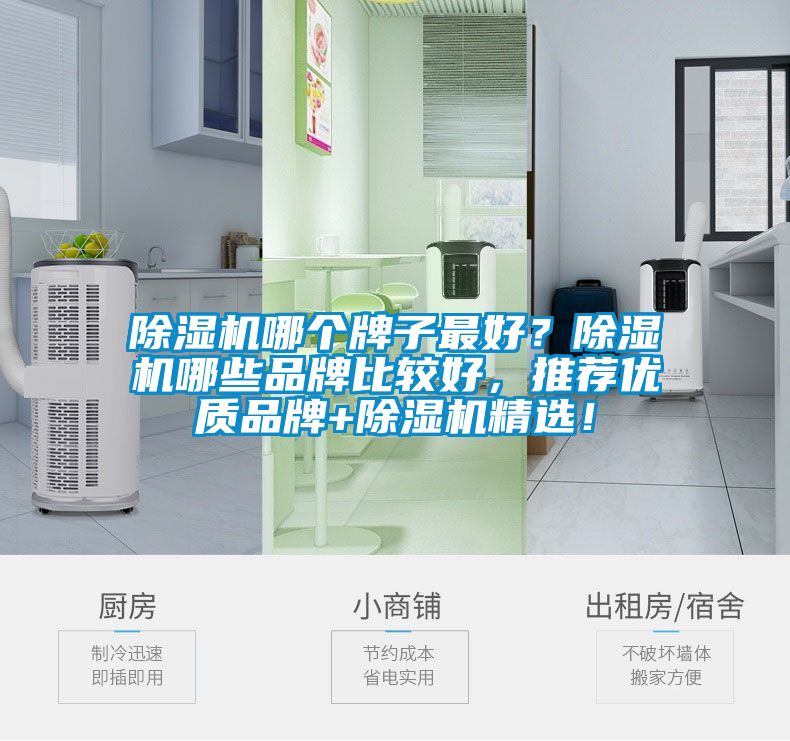 除濕機哪個牌子最好？除濕機哪些品牌比較好，推薦優質品牌+除濕機精選！