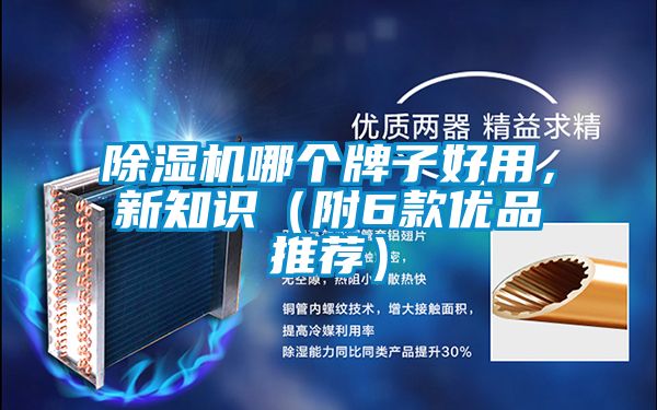 除濕機哪個牌子好用，新知識（附6款優品推薦）