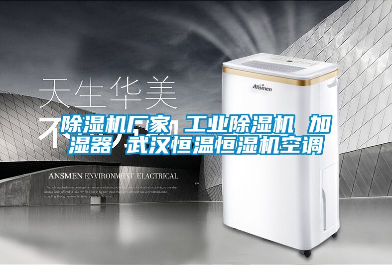 除濕機廠家 工業(yè)除濕機 加濕器 武漢恒溫恒濕機空調