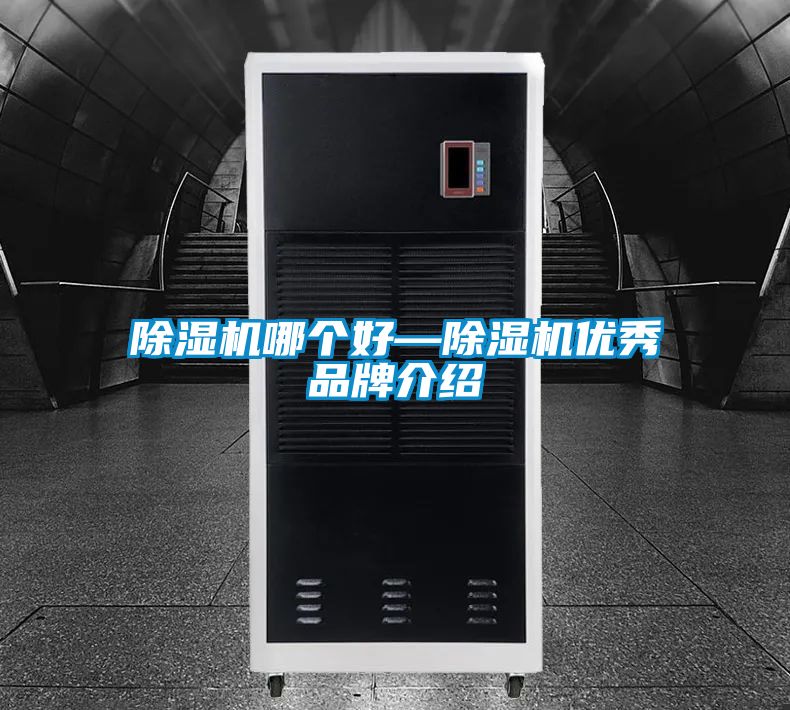 除濕機哪個好—除濕機優(yōu)秀品牌介紹
