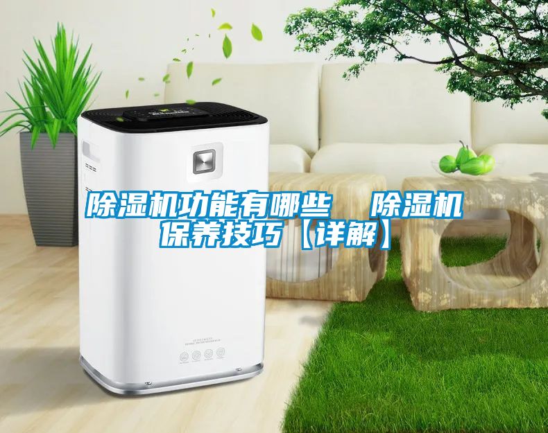 除濕機功能有哪些  除濕機保養(yǎng)技巧【詳解】