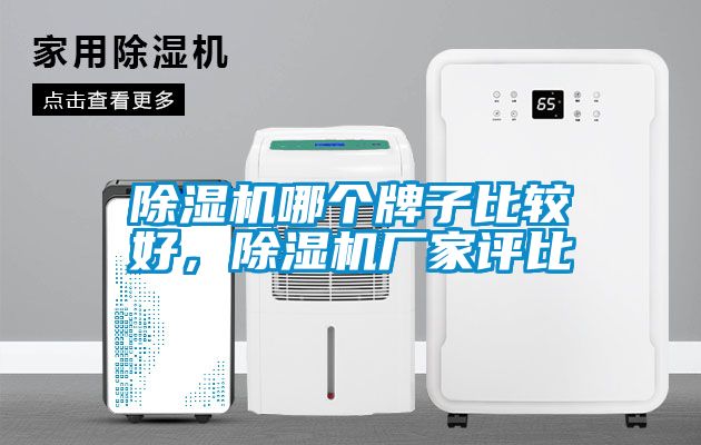 除濕機(jī)哪個(gè)牌子比較好，除濕機(jī)廠家評(píng)比