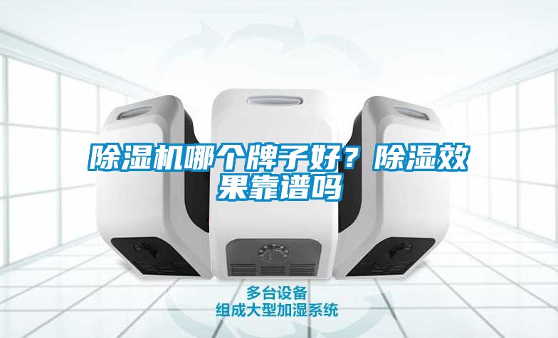 除濕機(jī)哪個牌子好？除濕效果靠譜嗎