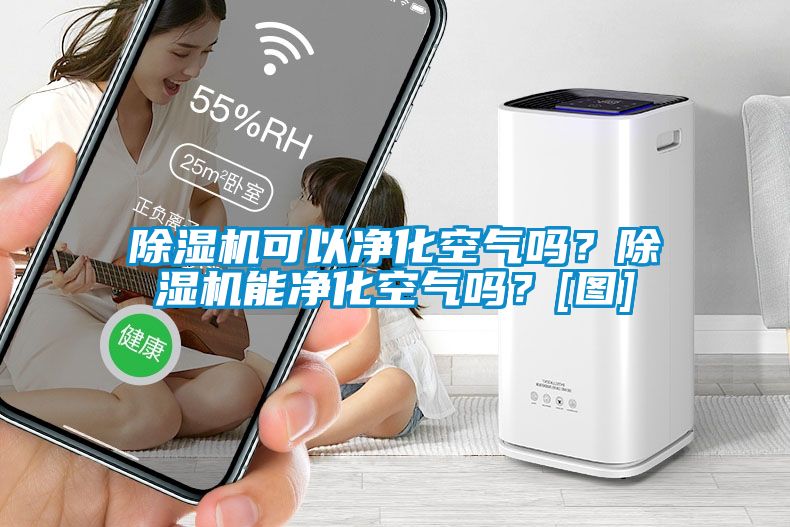 除濕機(jī)可以凈化空氣嗎？除濕機(jī)能凈化空氣嗎？[圖]