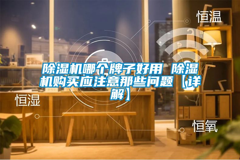 除濕機(jī)哪個牌子好用 除濕機(jī)購買應(yīng)注意那些問題【詳解】