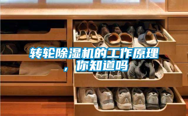 轉(zhuǎn)輪除濕機的工作原理，你知道嗎