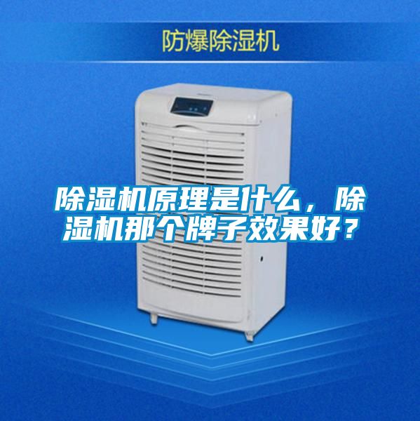 除濕機原理是什么，除濕機那個牌子效果好？