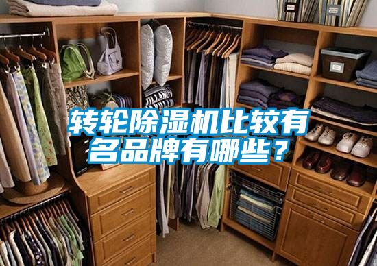 轉輪除濕機比較有名品牌有哪些？