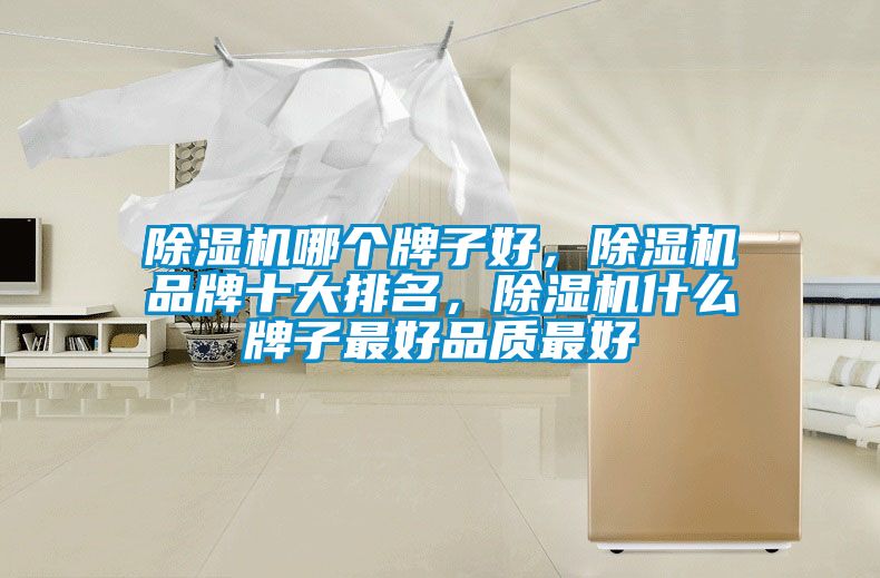 除濕機哪個牌子好，除濕機品牌十大排名，除濕機什么牌子最好品質最好