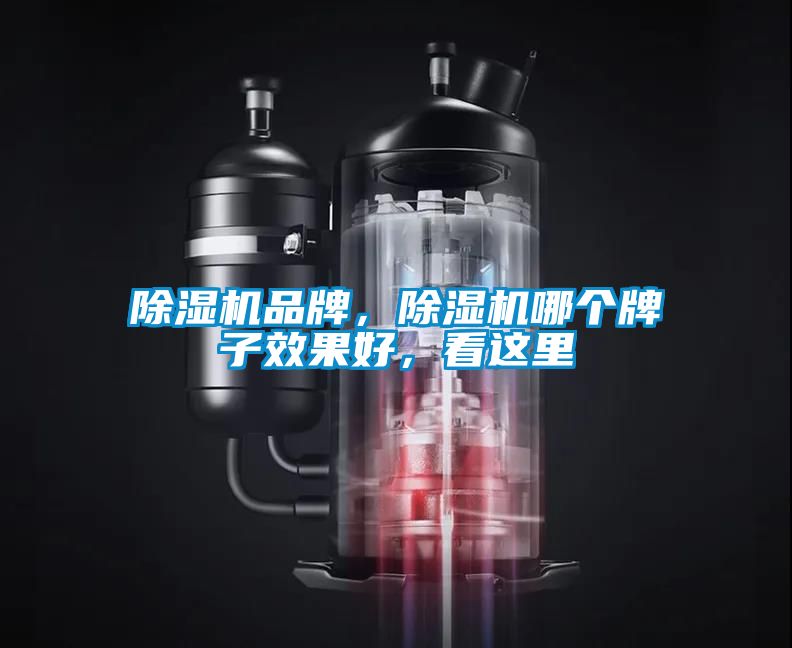 除濕機品牌，除濕機哪個牌子效果好，看這里