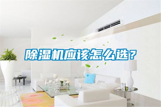 除濕機應該怎么選？