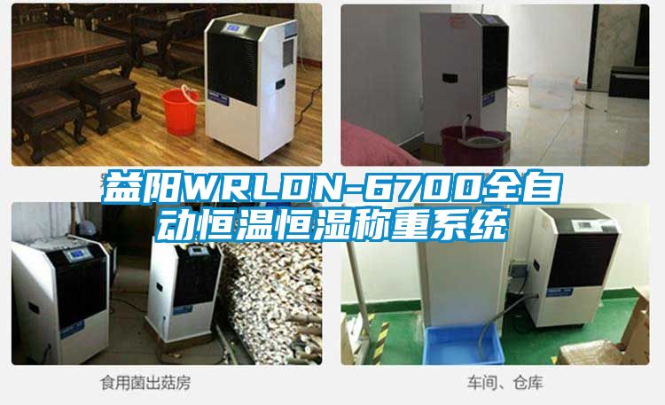 益陽WRLDN-6700全自動恒溫恒濕稱重系統