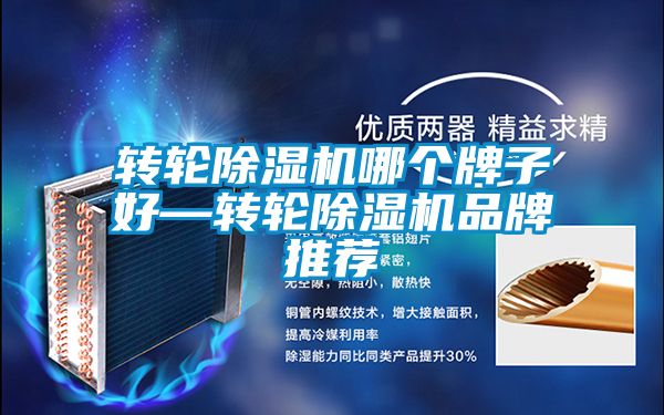 轉輪除濕機哪個牌子好—轉輪除濕機品牌推薦
