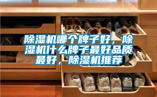 除濕機哪個牌子好，除濕機什么牌子最好品質(zhì)最好，除濕機推薦