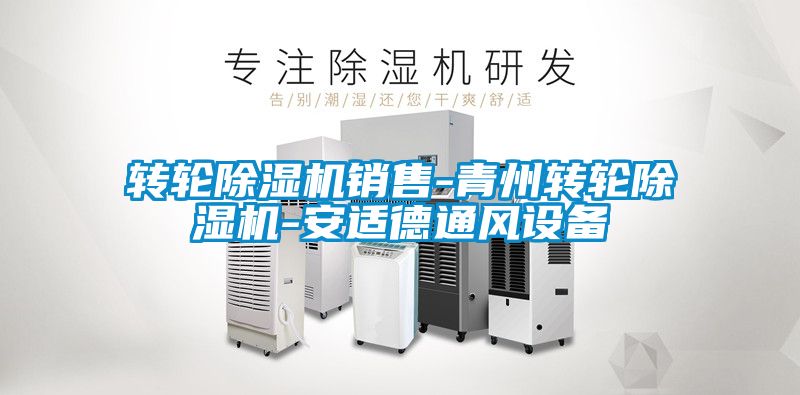 轉輪除濕機銷售-青州轉輪除濕機-安適德通風設備