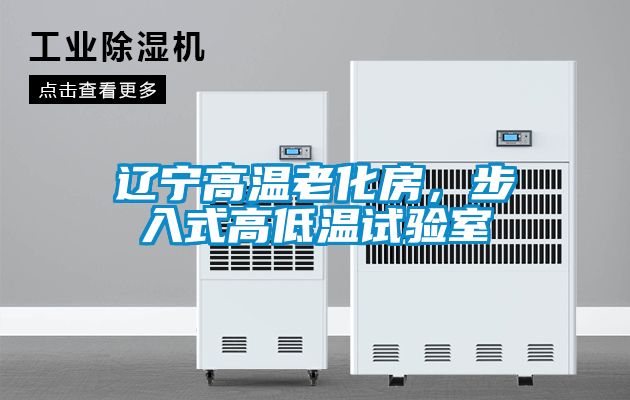 遼寧高溫老化房，步入式高低溫試驗(yàn)室