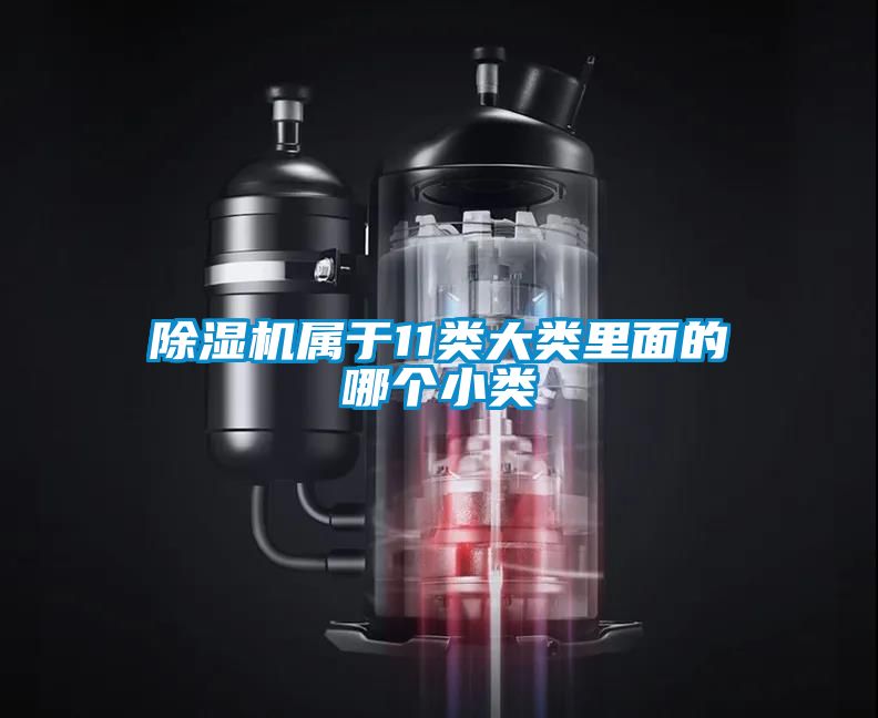 除濕機(jī)屬于11類(lèi)大類(lèi)里面的哪個(gè)小類(lèi)