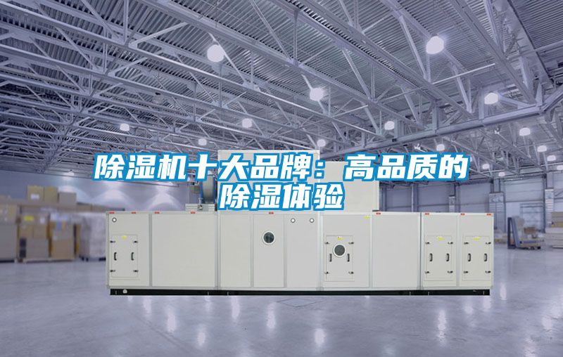 除濕機十大品牌：高品質的除濕體驗