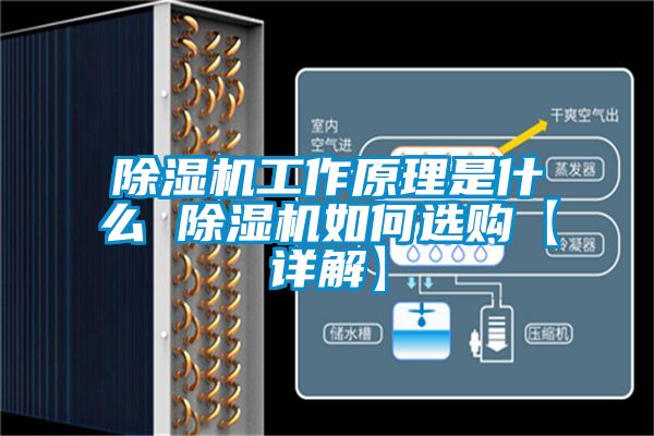 除濕機工作原理是什么 除濕機如何選購【詳解】