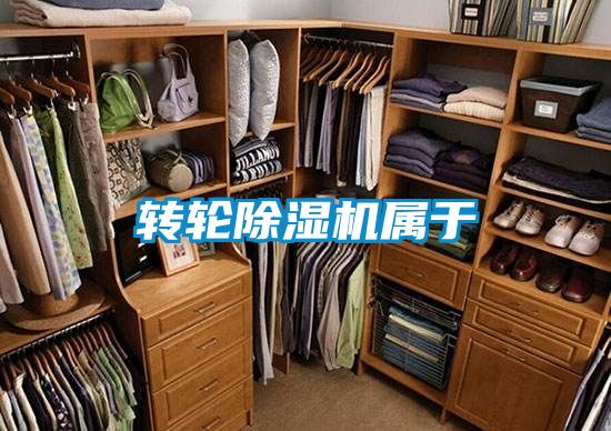 轉(zhuǎn)輪除濕機屬于