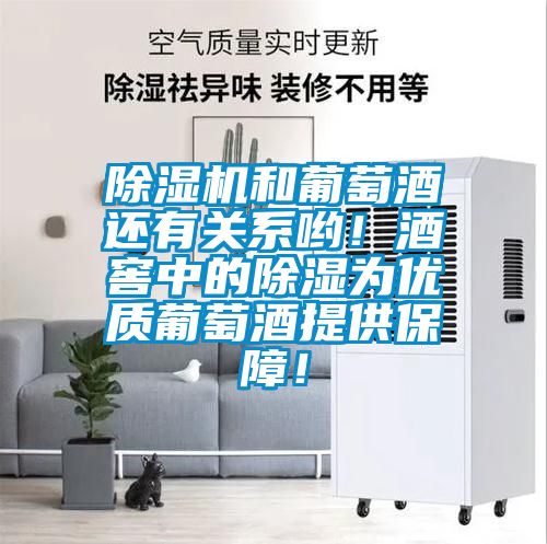 除濕機和葡萄酒還有關系喲！酒窖中的除濕為優質葡萄酒提供保障！