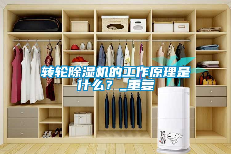 轉輪除濕機的工作原理是什么？_重復