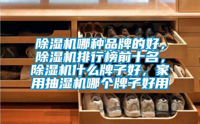 除濕機哪種品牌的好,除濕機排行榜前十名,除濕機什么牌子好,家用抽濕機哪個牌子好用