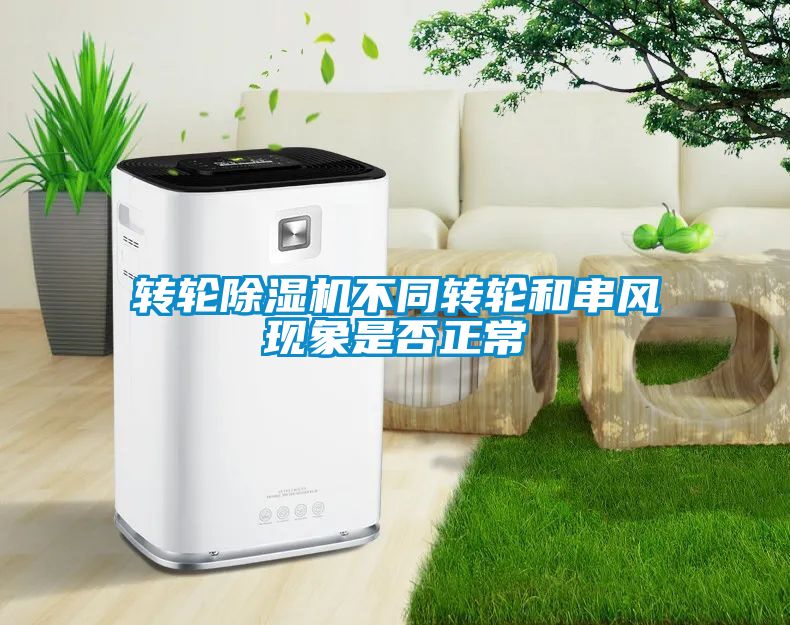 轉輪除濕機不同轉輪和串風現象是否正常