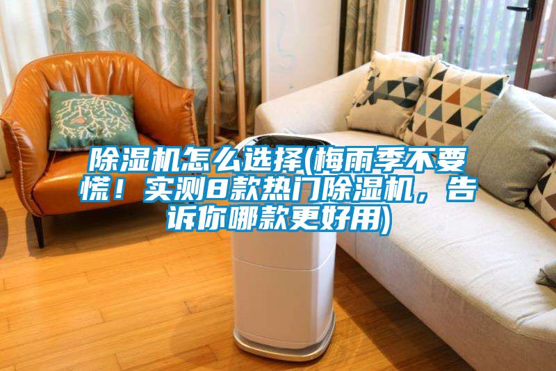 除濕機怎么選擇(梅雨季不要慌！實測8款熱門除濕機，告訴你哪款更好用)