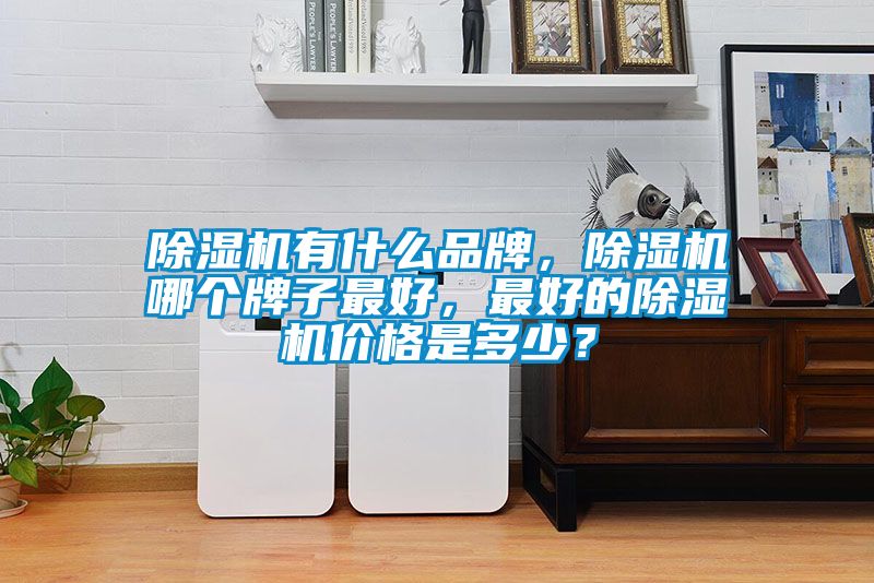 除濕機有什么品牌，除濕機哪個牌子最好，最好的除濕機價格是多少？