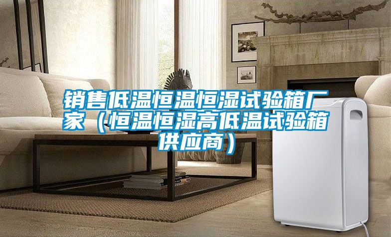 銷(xiāo)售低溫恒溫恒濕試驗(yàn)箱廠(chǎng)家（恒溫恒濕高低溫試驗(yàn)箱供應(yīng)商）