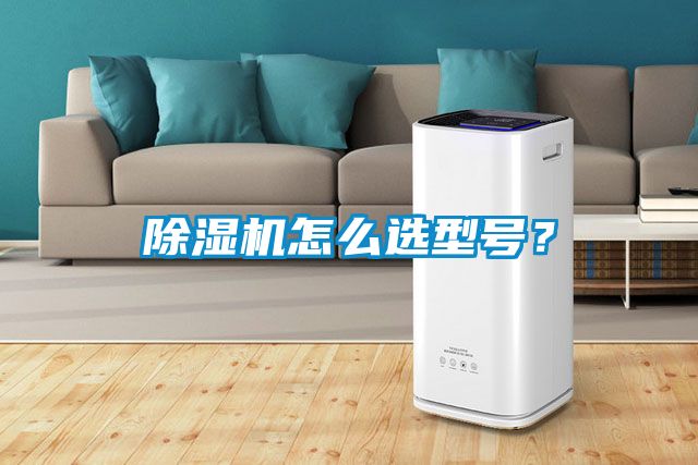 除濕機怎么選型號？