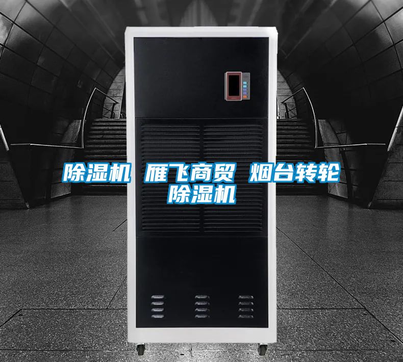 除濕機 雁飛商貿 煙臺轉輪除濕機