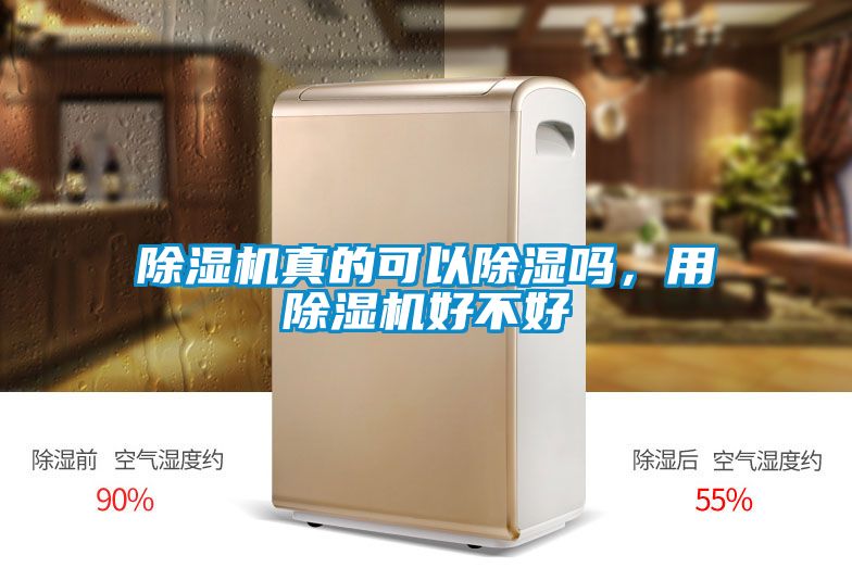 除濕機真的可以除濕嗎，用除濕機好不好