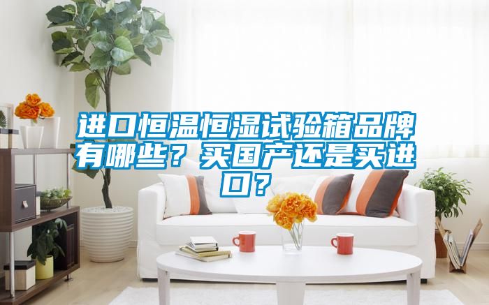 進口恒溫恒濕試驗箱品牌有哪些？買國產還是買進口？